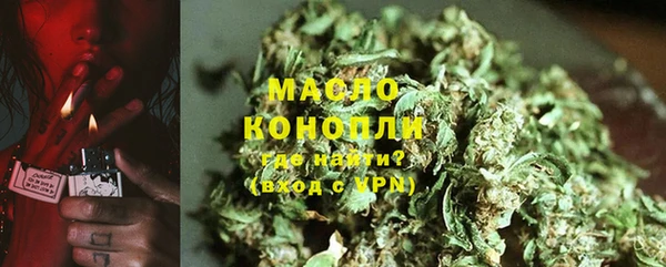 стаф Аркадак