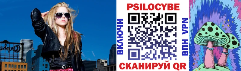 дарнет шоп  Десногорск  Псилоцибиновые грибы Psilocybine cubensis 