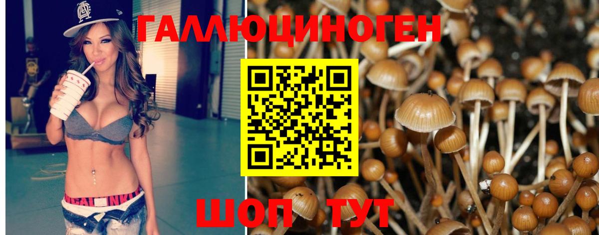 Десногорск  Псилоцибиновые грибы MAGIC MUSHROOMS  Вход с VPN 
