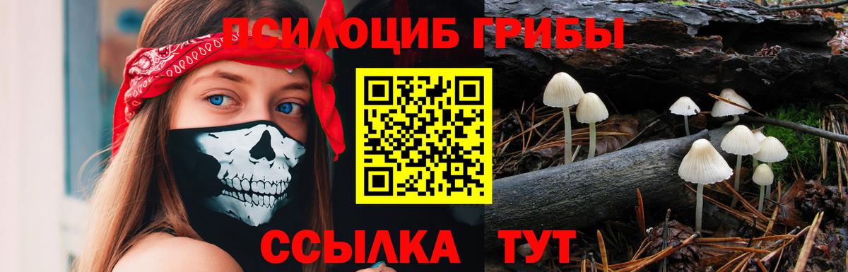 Псилоцибиновые грибы ЛСД  Десногорск 